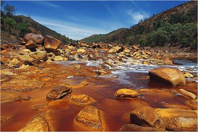 Metal tolerance of Río Tinto fungi